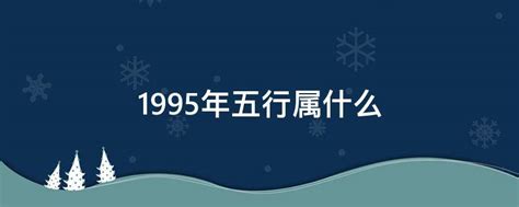 1995年 五行